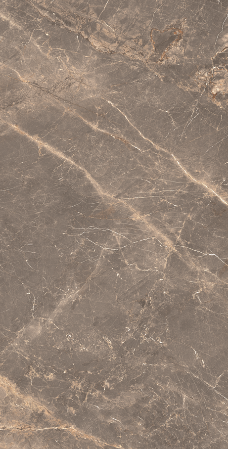 OR DE CACAU 60X120 Natural Retificado