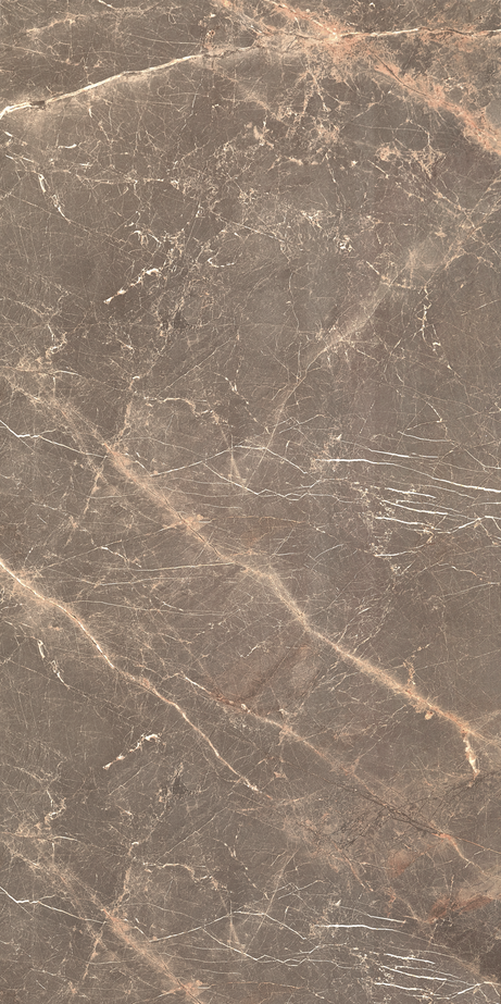 OR DE CACAU 60X120 Natural Retificado