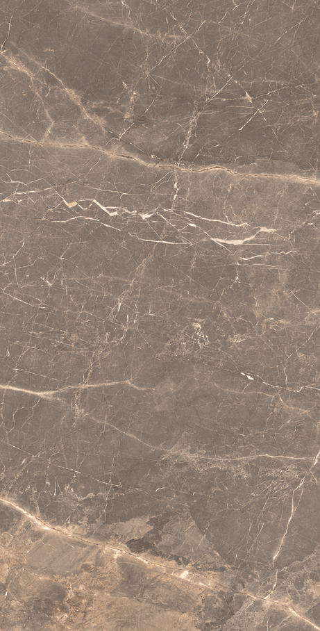 OR DE CACAU 60X120 Natural Retificado