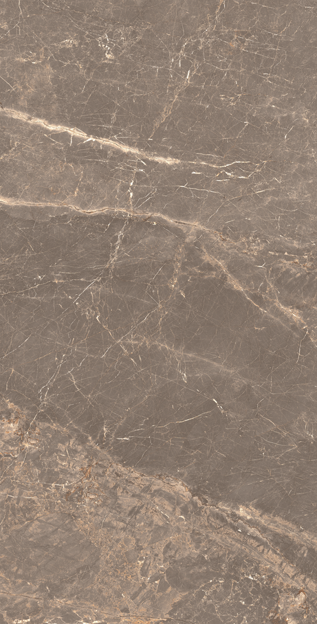 OR DE CACAU 60X120 Natural Retificado