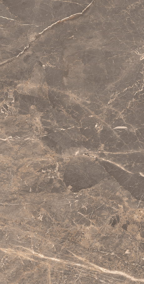 OR DE CACAU 60X120 Natural Retificado