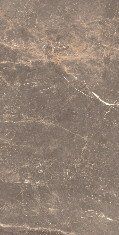 OR DE CACAU 60X120 Natural Retificado