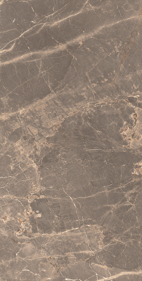 OR DE CACAU 60X120 Polido Retificado