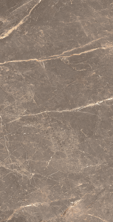 OR DE CACAU 60X120 Polido Retificado