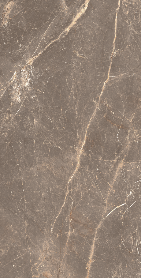 OR DE CACAU 60X120 Polido Retificado