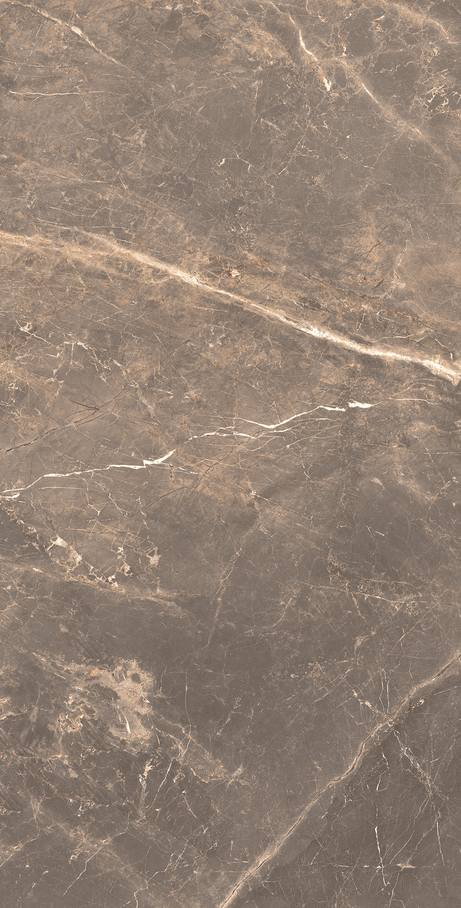 OR DE CACAU 60X120 Polido Retificado