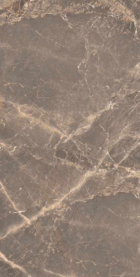 OR DE CACAU 60X120 Polido Retificado