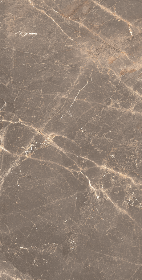 OR DE CACAU 60X120 Polido Retificado