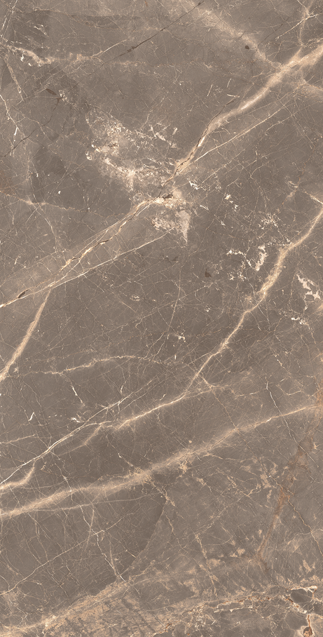 OR DE CACAU 60X120 Polido Retificado