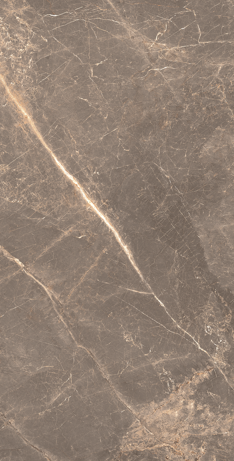 OR DE CACAU 60X120 Polido Retificado