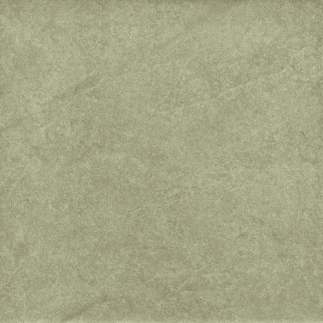 NEOTROPICAL IPOMEIA MIX 20X20 Natural Rectified