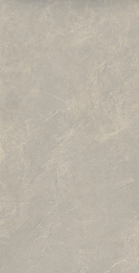 BLOOMY FOG 60X120 External Rectified