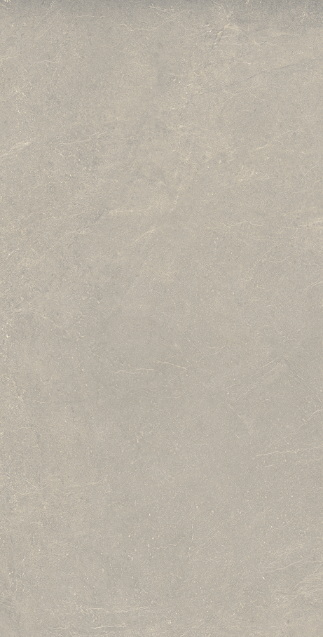 BLOOMY FOG 60X120 External Rectified