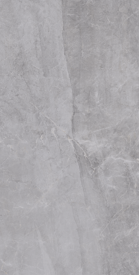 GRAY MARBLE 60X120 Polished Rectified