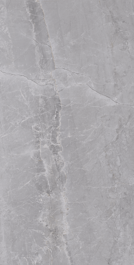 GRAY MARBLE 60X120 Polished Rectified