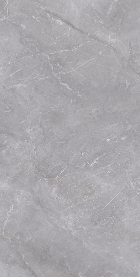 GRAY MARBLE 60X120 Polished Rectified