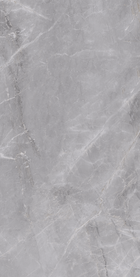 GRAY MARBLE 60X120 Polished Rectified