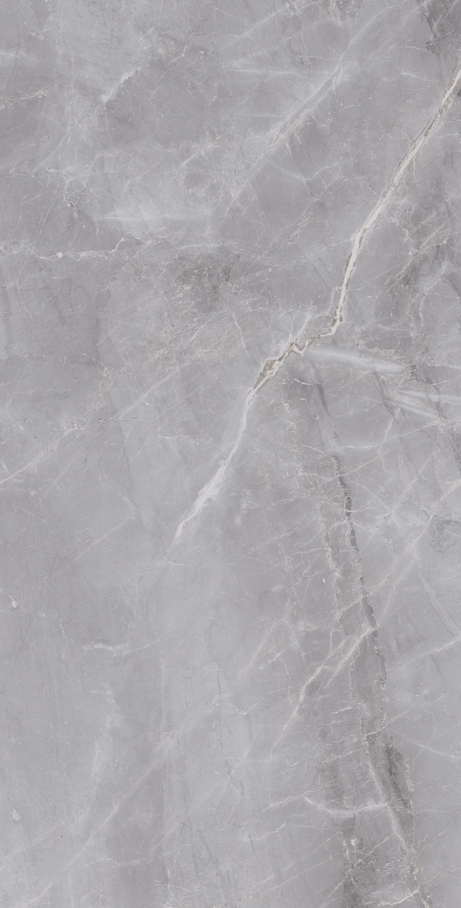 GRAY MARBLE 60X120 Polished Rectified