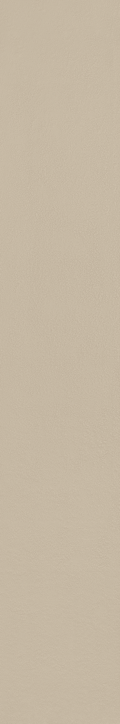 MATERIA_PRIMA: NEUTRO 20X120 Natural Retificado