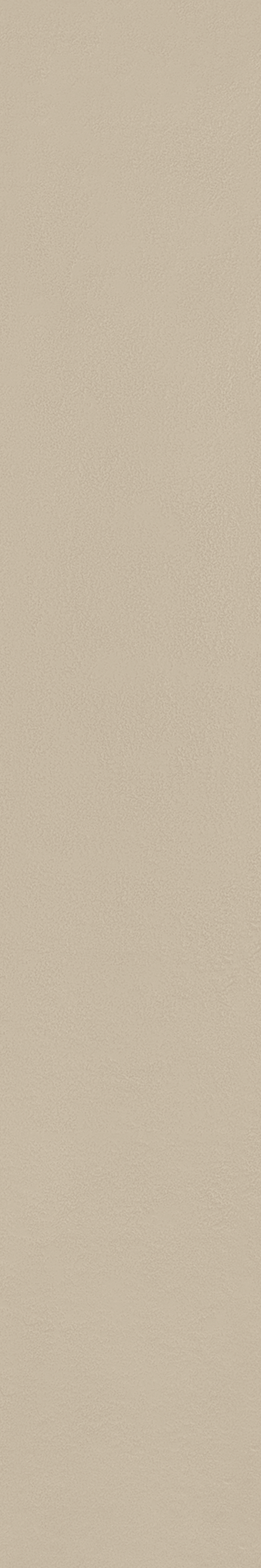 MATERIA_PRIMA: NEUTRO 20X120 Natural Retificado