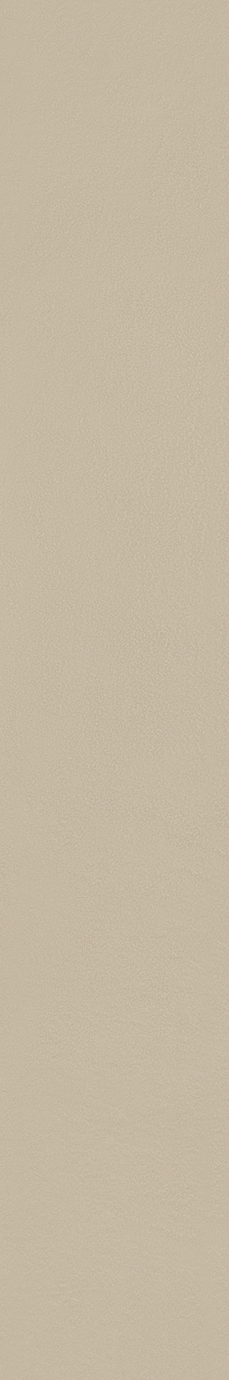 MATERIA_PRIMA: NEUTRO 20X120 Natural Retificado