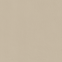 MATERIA_PRIMA: NEUTRO