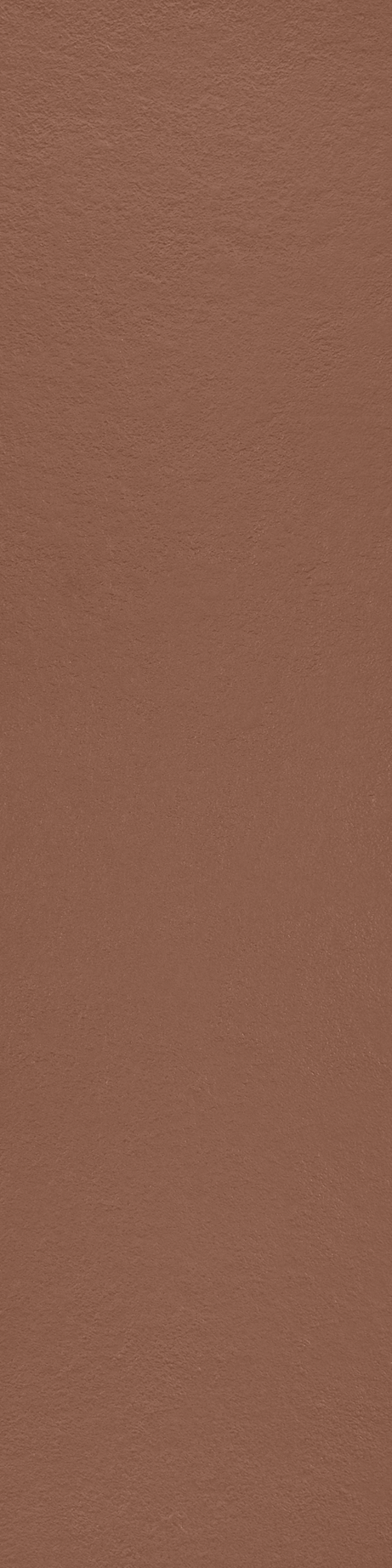 MATERIA_PRIMA: TERRACOTA 30X120 Natural Retificado