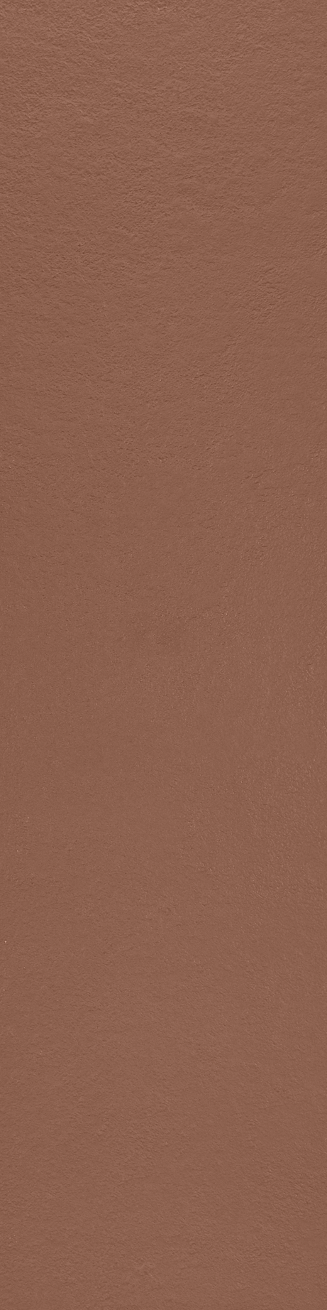 MATERIA_PRIMA: TERRACOTA 30X120 Natural Retificado