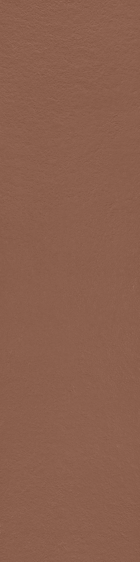 MATERIA_PRIMA: TERRACOTA 30X120 Natural Retificado