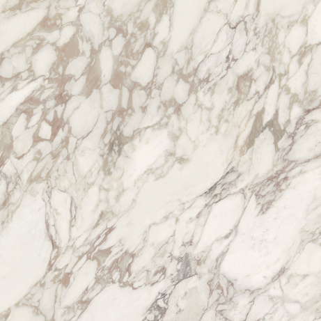 BORGHINI VIOLA 120X120 Natural Retificado