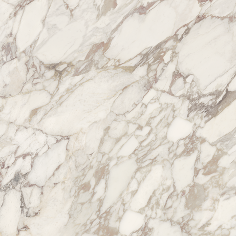 BORGHINI VIOLA 120X120 Natural Retificado