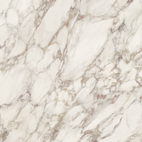 BORGHINI VIOLA 120X120 Natural Retificado