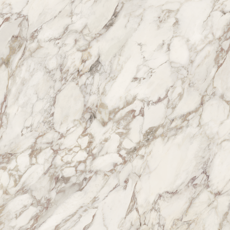 BORGHINI VIOLA 120X120 Natural Retificado
