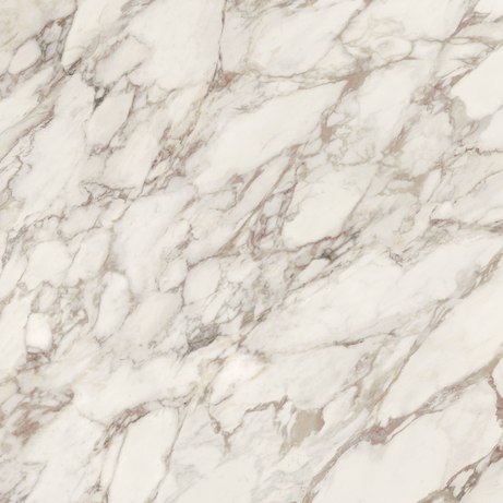 BORGHINI VIOLA 120X120 Natural Retificado