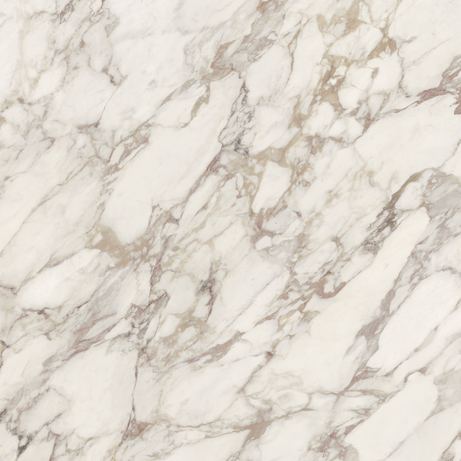 BORGHINI VIOLA 120X120 Natural Retificado