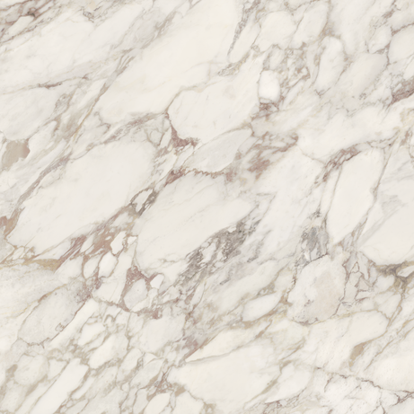 BORGHINI VIOLA 120X120 Natural Retificado