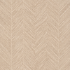 AVANTGARDE CLAIR ARMEE