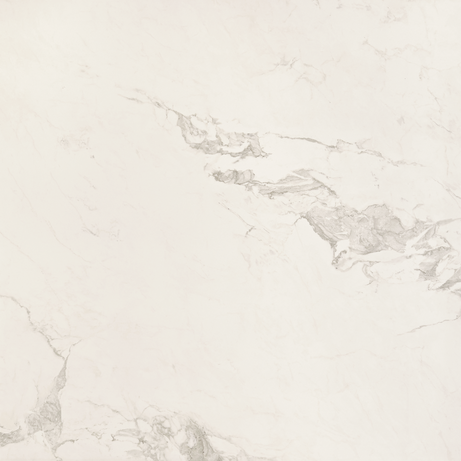 OPUS 120X120 Natural Rectified