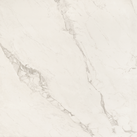 OPUS 120X120 Natural Rectified