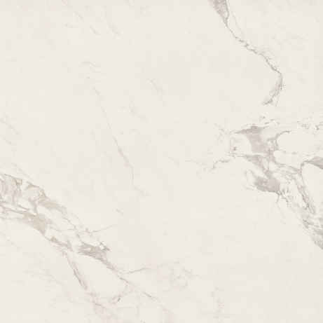 OPUS 120X120 Natural Rectified