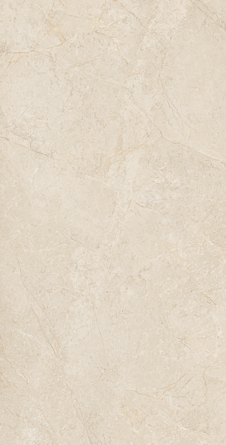 NOMAD 60X120 Natural Retificado