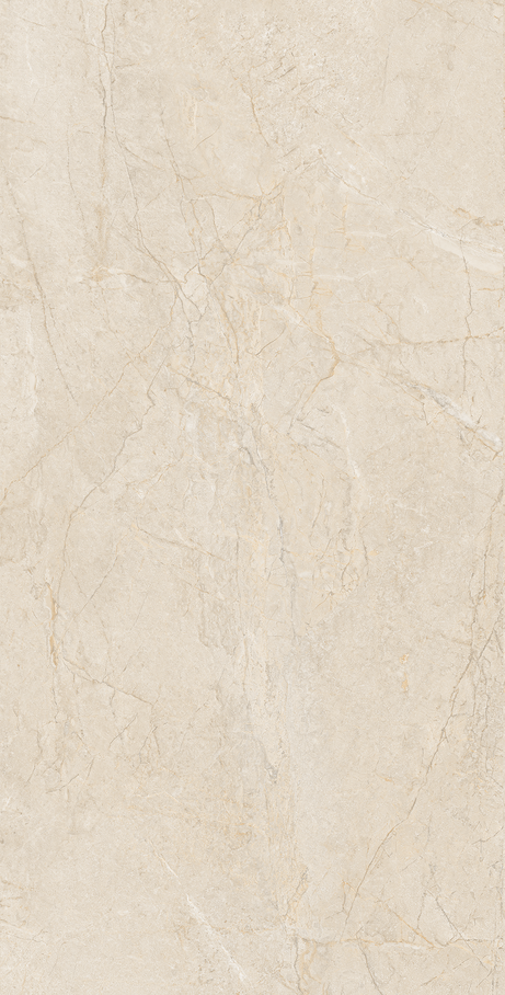 NOMAD 60X120 Natural Retificado