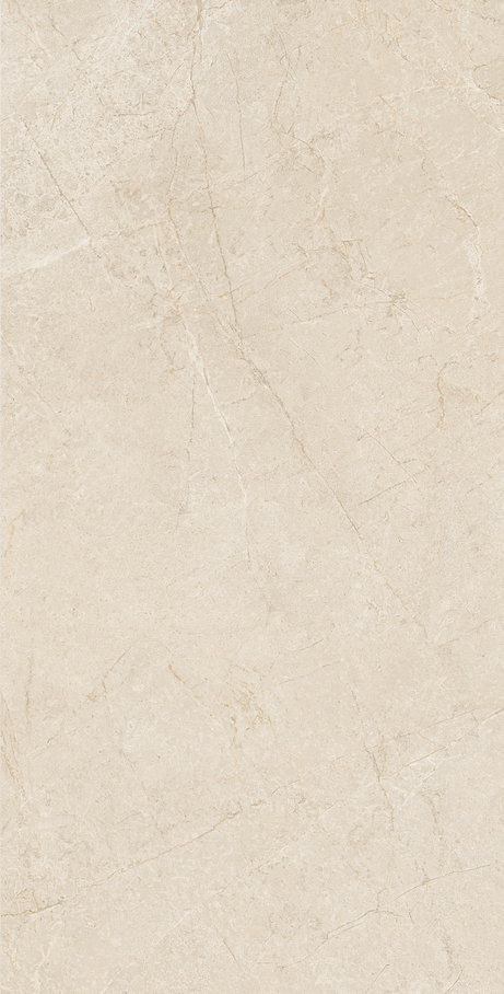 NOMAD 60X120 Natural Retificado