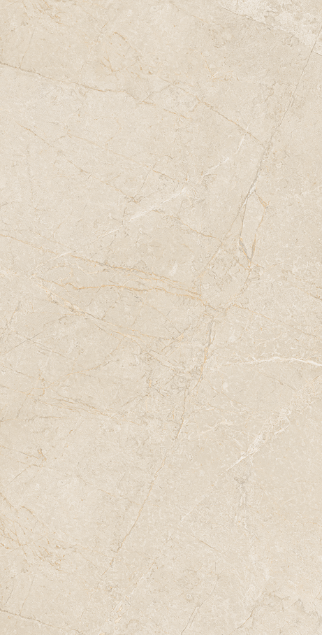 NOMAD 60X120 Natural Retificado