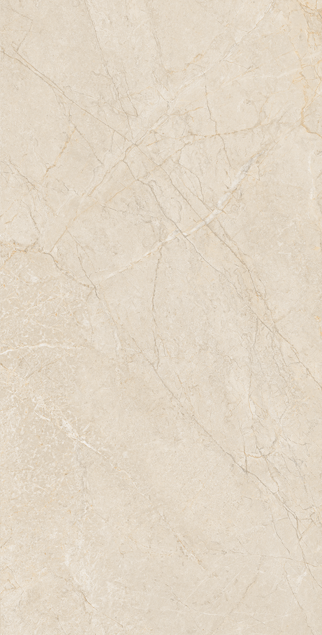 NOMAD 60X120 Polido Retificado