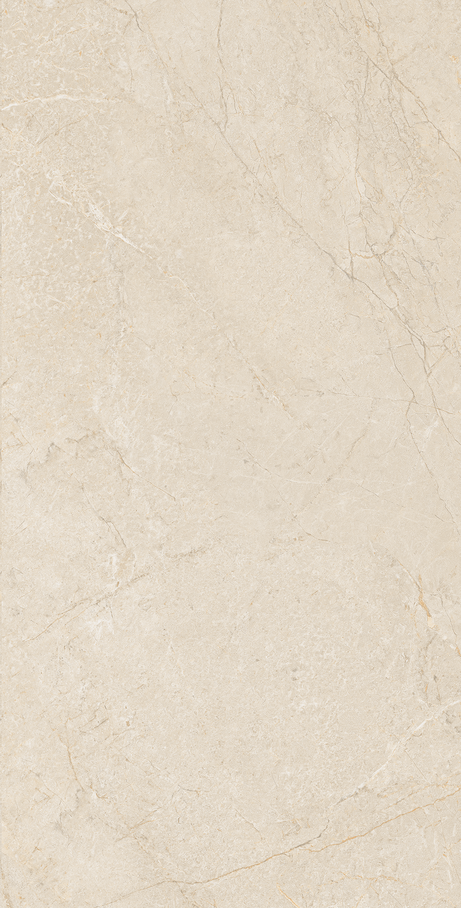 NOMAD 60X120 Polido Retificado