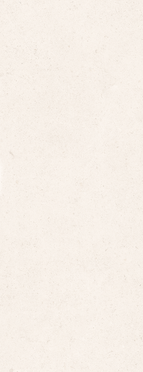 LALAI BRUT WALL 45X120 Mate Retificado