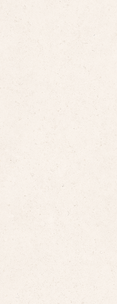 LALAI BRUT WALL 45X120 Mate Retificado