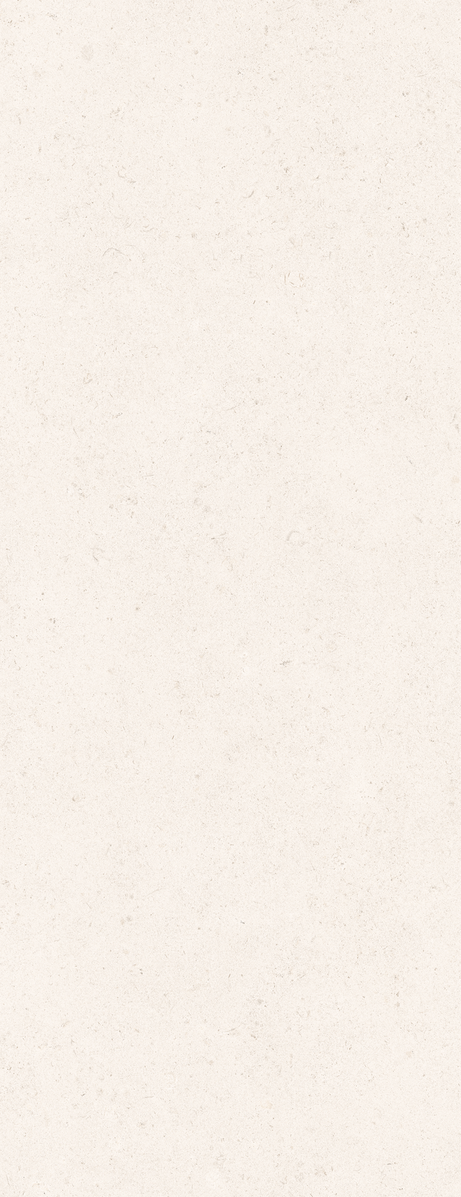 LALAI BRUT WALL 45X120 Mate Retificado