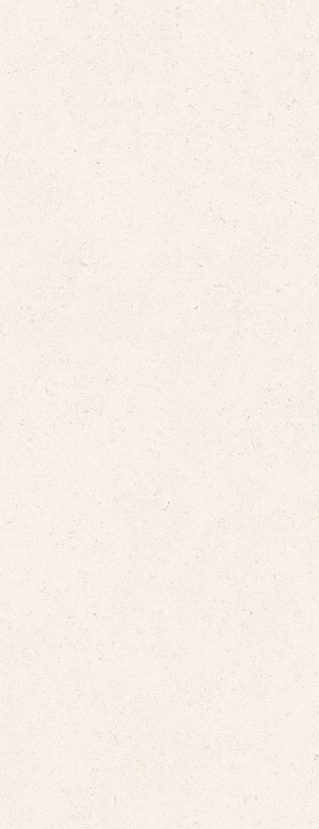 LALAI BRUT WALL 45X120 Mate Retificado